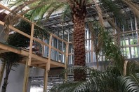 1233 N Venetian